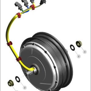 Hub Motor